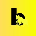 businessbulls.in profile picture