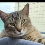 buster_and_brothers profile picture