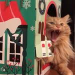 bustersworld_tripodkitty profile picture