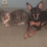 butterandlennox profile picture