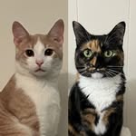 buttercup.and.westley profile picture