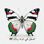 butterflies_rm profile picture