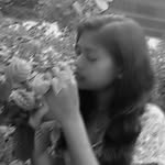 butterfly_nutter profile picture