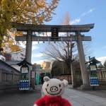 buusanadventures profile picture