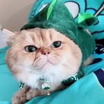 buvu.87 profile picture
