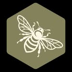 buzzevents profile picture