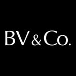 bvandco profile picture