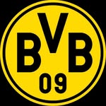 bvb09nachwuchs profile picture