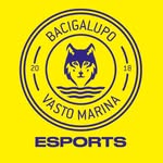 bvmesports profile picture