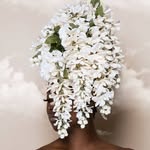 bvsseyfrvncis profile picture