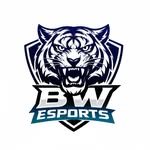 bw_esports.offcial profile picture
