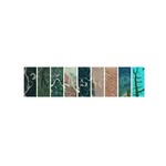 bxnashree profile picture
