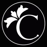 bycarolinatroconis profile picture