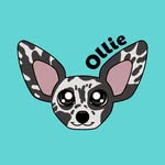bygollymisterollie profile picture