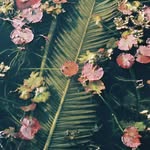bynaturestudio_ profile picture