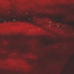 c._.gib profile picture