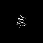 c3llulose profile picture