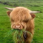 c_lockhart profile picture