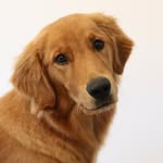 caampstagram profile picture