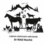 cabinet_veterinaire_dr_riad profile picture