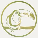 cachoeira.music profile picture