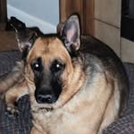caclspeterson profile picture