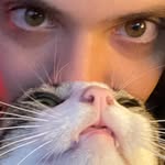 cafarooo profile picture