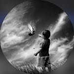 caique_couto_plt profile picture
