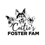 caitiesfosterfamrescue profile picture