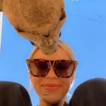 caitlinandtiptoe profile picture