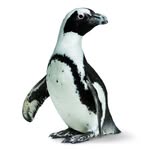 calacademy profile picture