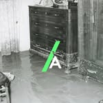 calamitaproject profile picture