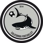 californiafootvolley profile picture