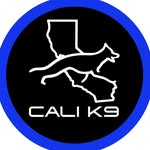 calik9training profile picture