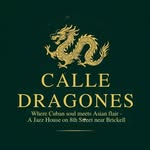 calledragonesmiami profile picture