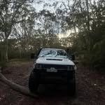 callum_n60 profile picture