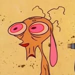 cal_noonan_ profile picture