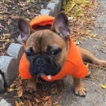 calvinmyershealthandwellness profile picture