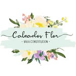 calzadosflor_2019 profile picture