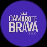 camarotebrava profile picture