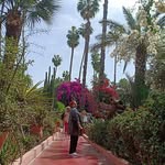 camelia_glamelia profile picture