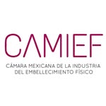 camief.mx profile picture