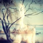 camillaarifa profile picture