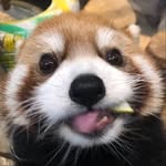 camillier0ck profile picture