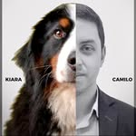 camilojm6 profile picture