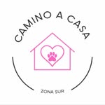caminoacasazonasur profile picture