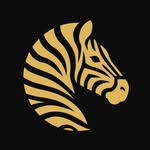 camisalistradafilmes profile picture