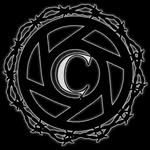 camnthecam profile picture