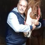 campeonatocampeones profile picture