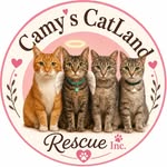 camyscatland profile picture